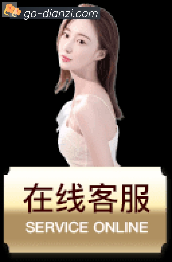 NLC电子服务体系